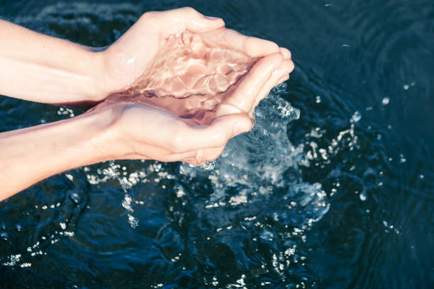 Water audit data insights — ZWC Solutions